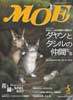 月刊MOE　モエ　1999年5月号　ダヤンとタシルの仲間たち