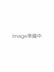 宝塚戦国記